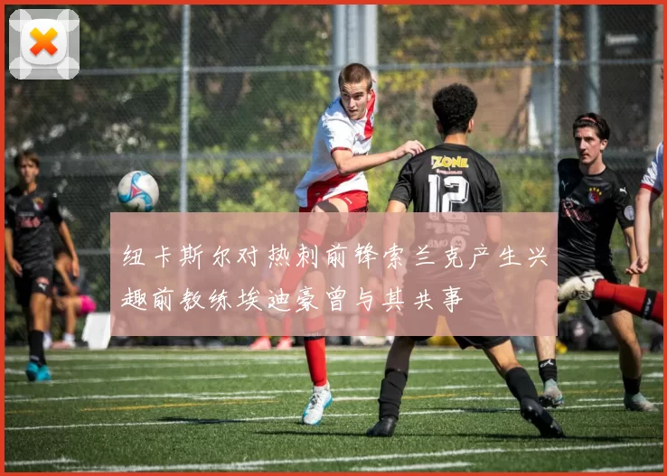 纽卡斯尔对热刺前锋索兰克产生兴趣前教练埃迪豪曾与其共事
