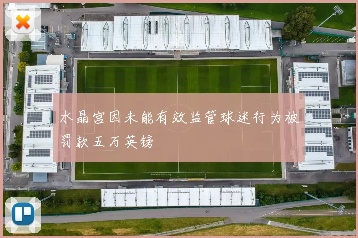 水晶宫因未能有效监管球迷行为被罚款五万英镑
